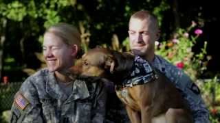 Amazing Dog Reunion with Soldier Owners [upl. by Downall488]