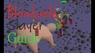 OSRS InDepth Ultimate Bloodveld Slayer Guide 2019 [upl. by Airdnax]