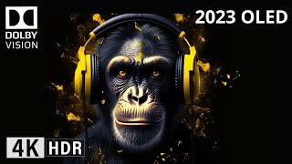 Oled Demo 2023 Dolby THX DLP Intros DOLBY ATMOS SOUND DESIGN 4K HDR 60FPS Dolby Vision [upl. by Berkin176]