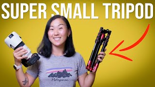 BEST Small Tripod for Travel Manfrotto Element Traveller Tripod Review [upl. by Abernathy311]