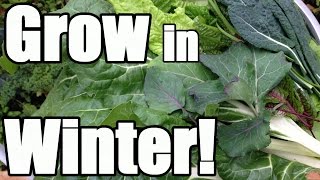 8 Keys to Growing in Winter in an Unheated Greenhouse Hoop House [upl. by Demaggio485]