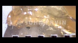 HD Slow Motion  Winchester PDX1 Defender 12 Gauge Segmenting Slug [upl. by Aivekahs704]