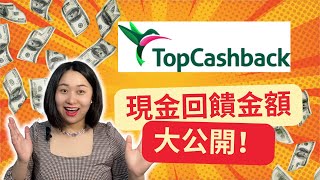 公開TopCashback現金回饋金額！為什麼這麼多人力推？英美法德中適用 [upl. by Marnie]