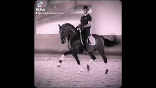 aboniert horse pferdesport equestrianriding equestrian pferde horsebackriding edit [upl. by Ymerrej237]