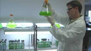 Biofuels from Algae Project  Brunswick Community College Center for Aquaculture amp Biotechnology [upl. by Nnylirej]