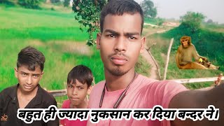 बहुत ही ज्यादा नुकसान कर दिया बन्दर ने। rajvlogs456 dalivlogs familyvlogs [upl. by Maynard]