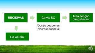 HIPOCALCEMIA EM VACAS LEITEIRAS Tratamento [upl. by Faunia]