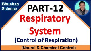 PART12 Respiratory System  Control of respiration Neural amp Chemical Mechanism  B Pharm GPAT [upl. by Pammy]