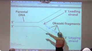 DNA Replication Recombination Repair II [upl. by Treve]