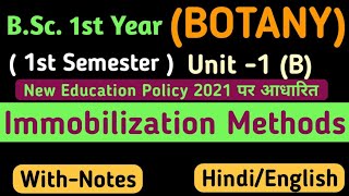 Immobilization MethodsBSc 1st Year 1st Semester Botany Unit 1Immobilization methods in Hindi [upl. by Alber]