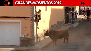 🤩 GRANDES MOMENTOS de 2019 · Tercera parte [upl. by Satterlee]