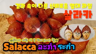 안 먹어본 사람은 있어도 한 번만 먹어 본 사람은 없다는 과일 살라카  Mysterious tropical fruit Salacca [upl. by Rus922]