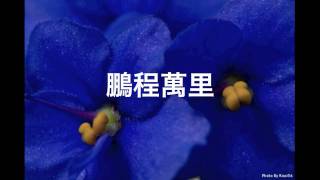 青青校樹 Graduation Song [upl. by Sena]