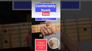 How to play the solo on Comfortably Numb by Pink Floyd [upl. by Bonner]