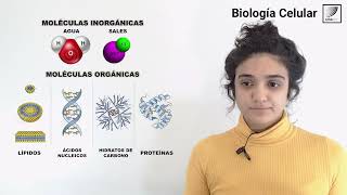 7 Biología Celular Generalidades de la organización molecular de las células [upl. by Aronoff970]