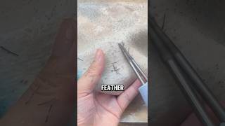 Efficient Electric Poultry Feather Plucker A StepbyStep Guide😅😅 wildanimalfacts facts [upl. by Ilagam]