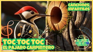 🎵toc toc toc el Pájaro carpintero🐦 Canciones infantiles 🎵 [upl. by Meerek]