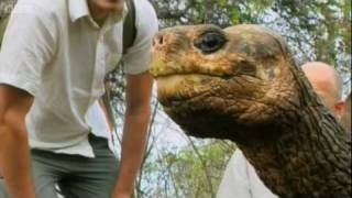 Lonesome George the Galapagos Tortoise  Explore  BBC [upl. by Westbrook]