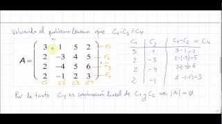 Cálculo del determinante de una matriz  Examen de matemáticas Turismo UNED [upl. by Nertie]