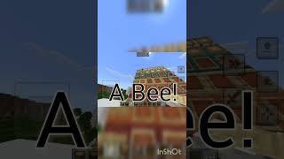 Minecraft Wood Tier List 1 [upl. by Hebel]