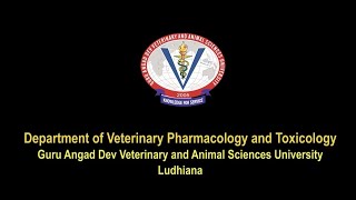 GADVASU Vety Pharmacology amp Toxicology Tutorial on Pharmacy Toxicity testing amp Toxic Plants [upl. by Correy]