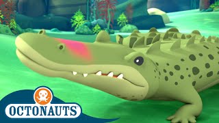 Octonauts  The Saltwater Crocodile  Cartoons for Kids  Underwater Sea Education [upl. by Landmeier]