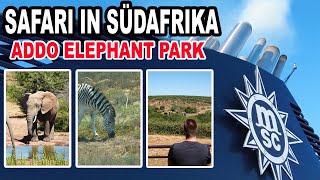 Safari im Addo Elephant National Park Port Elisabeth🛳️ MSC Weltreise 2024 mit der MSC Poesia 016 [upl. by Ocirred94]