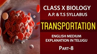 Transportation  Coagulation of blood 10th biology chapter 3 AP amp TS syllabus EM EDUSCOPE ​ [upl. by Idner]