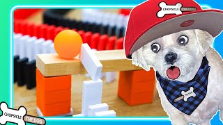 Dominoes Vs Machines Challenge Havesh5 Vs Jackofallspades98 Reaction By Chopsicle The Dog [upl. by Nicholl910]