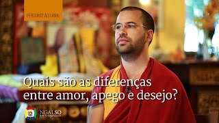 Quais são as diferenças entre amor apego e desejo subtitles PTENESNLFRITCN [upl. by Pawsner]