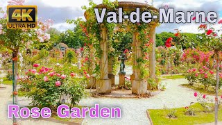 🇫🇷Roseraie du ValdeMarne  Roseraie de LHaÿ  Rose Garden 4K [upl. by Leahcimluap]