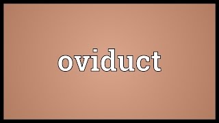 Oviduct Meaning [upl. by Vita]