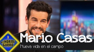 La nueva vida de Mario Casas en el campo y con sus mascotas  El Hormiguero [upl. by Nnairb]