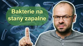 Te bakterie zwalczą stan zapalny w organizmie [upl. by Helbonnas]