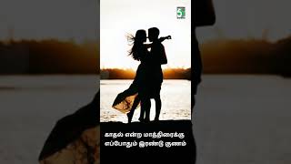 ❤️ Maname Manamae Love Short Video ❤️  Rojavanam  SPB  Vairamuthu [upl. by Nnairrek]