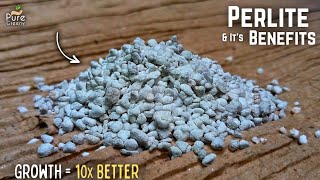 A Mastering Guide On How to Use Perlite For Plants DO amp DONTS Added [upl. by Travus]