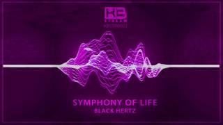 Black Hertz  Symphony of Life Original Mix Free Download [upl. by Agamemnon]