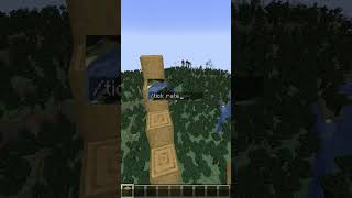 Arrêter le temps sur minecraft  minecraft shorts [upl. by Dagley]