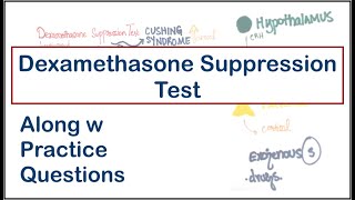 Dexamethasone Suppression Test High dose vs Low dose  Cushing Syndrome  USMLE  MCQs [upl. by Hertzog]