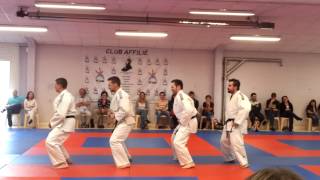 Démonstration judoshow JCAmp4 [upl. by Pickering397]