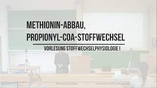 Methionin Abbau  PropionylCoAStoffwechsel [upl. by Normand]