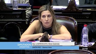 Diputada Lospennato Silvia Gabriela  2da Intervención  Sesión 06122016 [upl. by Ymac295]