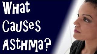 What Causes Asthma [upl. by Enimisaj]