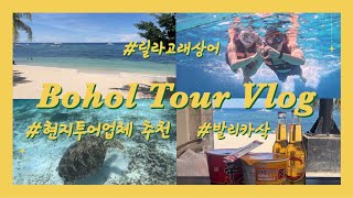 Bohol Vlog🇵🇭 EP2ㅣ아름다운 보홀의바다ㅣ현지투어업체추천ㅣ릴라고래상어ㅣ발리카삭ㅣ보홀투어 [upl. by Einneg]