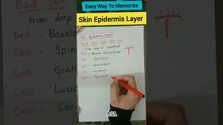 Skin Epidermis Layers Mnemonics Mbbs  Mdcat  Neet [upl. by Lazare]