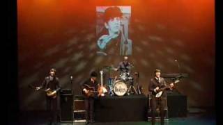 The Beatles Revival Live In Franeker 2008 1 [upl. by Oiromed9]