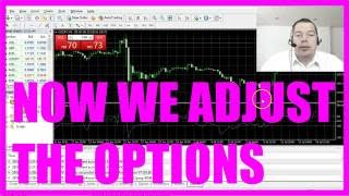 MQL4 Tutorial Bootcamp 1  4 How to connect your Broker account to Metatrader4 [upl. by Seiber]