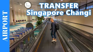 FLIGHT TRANSFER AT SINGAPORE CHANGI Airport  How to Walk to a Connection Flight  Transit Walk [upl. by Richie]