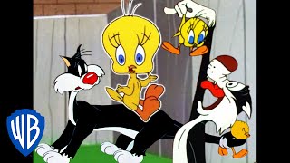 Looney Tunes  I Taut I Taw a Putty Tat  Classic Cartoon Compilation  WB Kids [upl. by Yanaj]