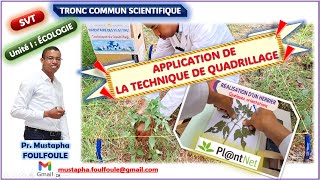 Ecologie Vidéo 2 Méthode statistique  Technique de quadrillage [upl. by Swithin]